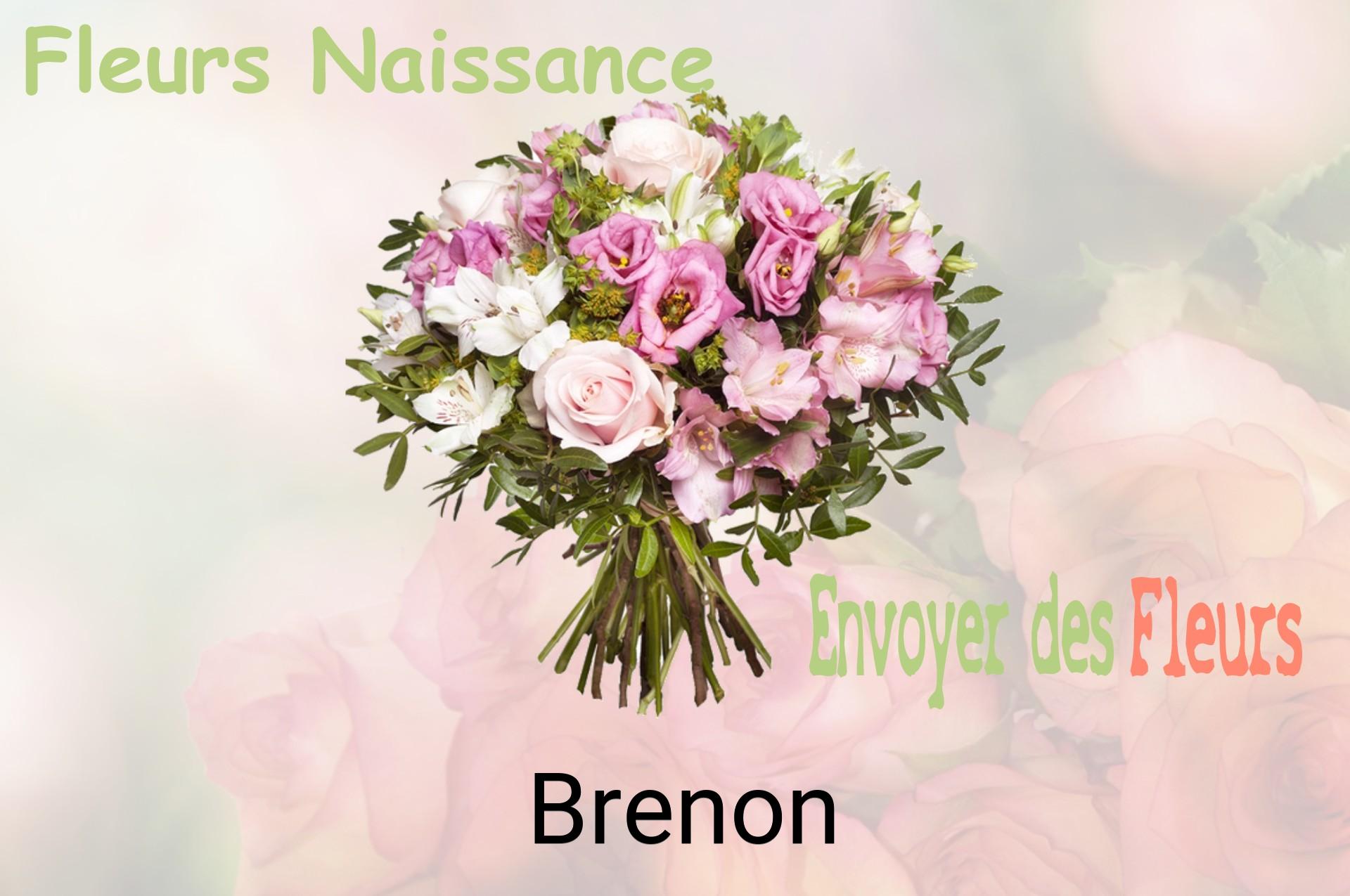 Bouquet de fleurs de naissance livré à Brenon